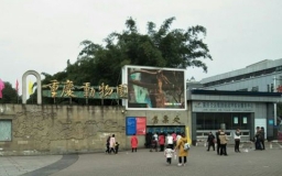Chongqing Zoo