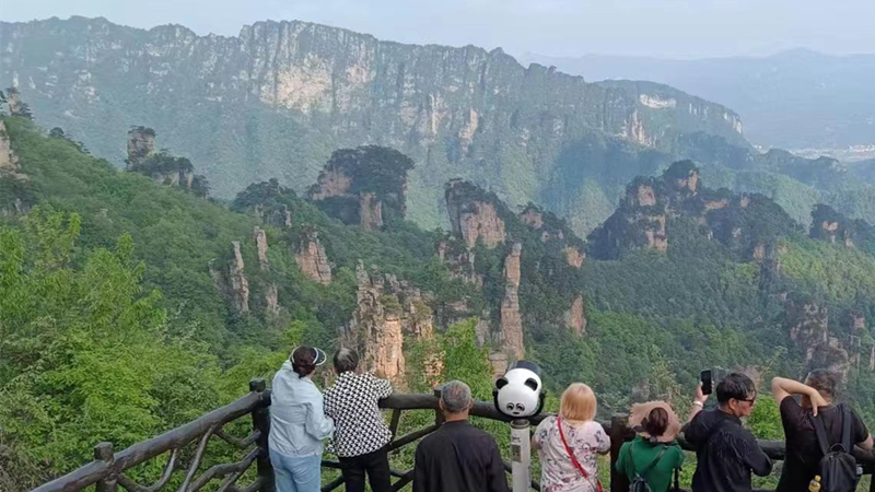 Fairy Presenting Flowers in Tianzi Mountain.jpg