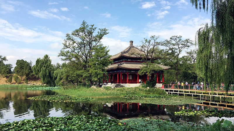 Beijing Yuanmingyuan Garden in Summer.jpg