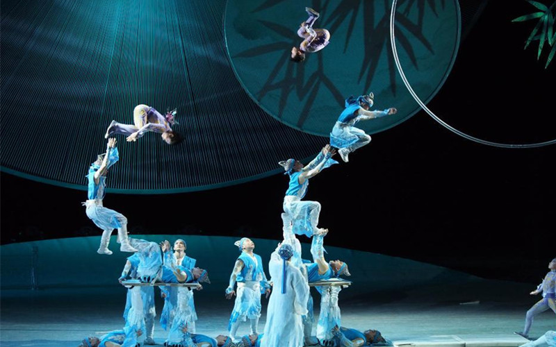 Shanghai Acrobatic Show.jpg