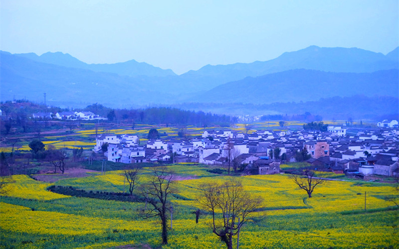 Pingshan Village6.jpg