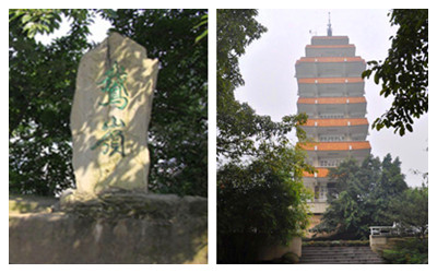 Eling Park.jpg