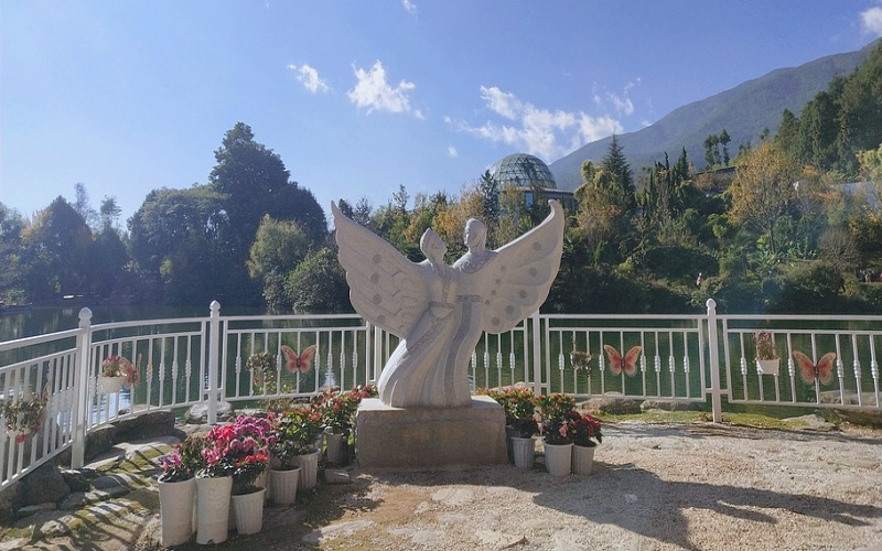 Butterfly Spring.jpg