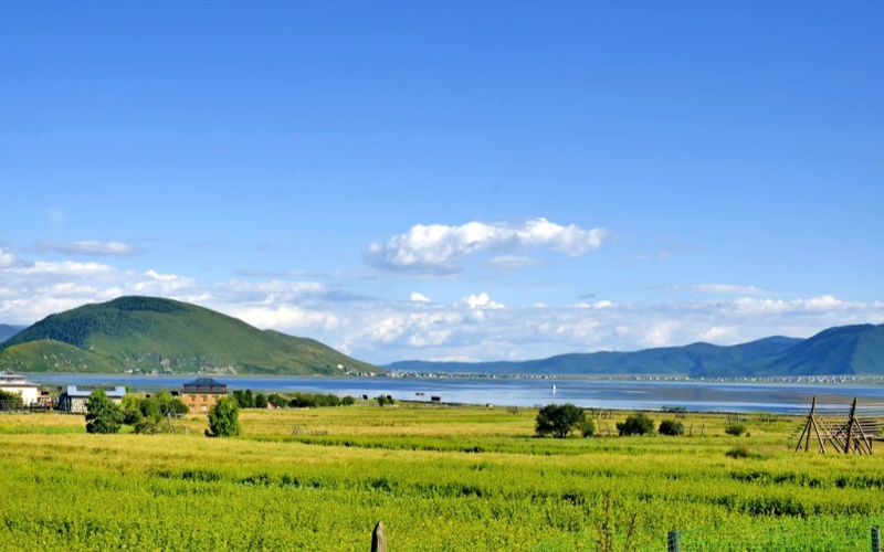 Yila Grassland.jpg
