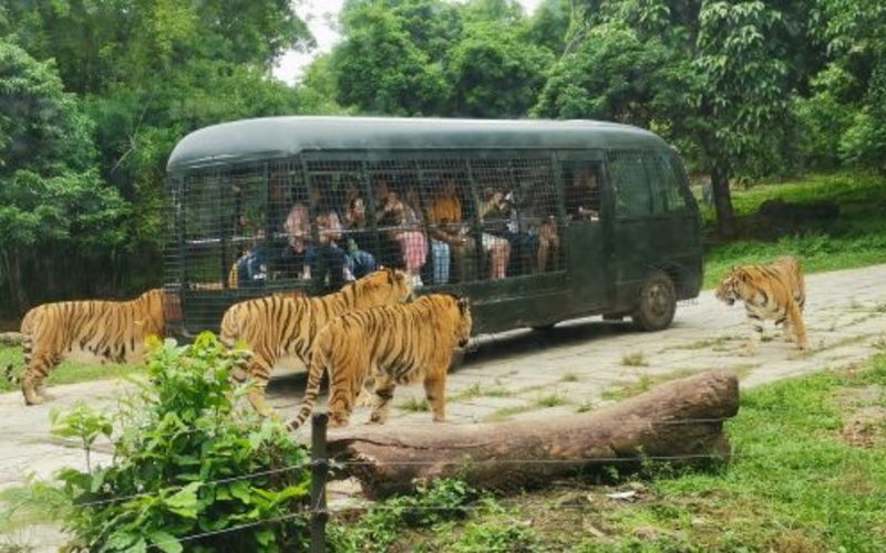 Shenzhen Safari Park2.jpg
