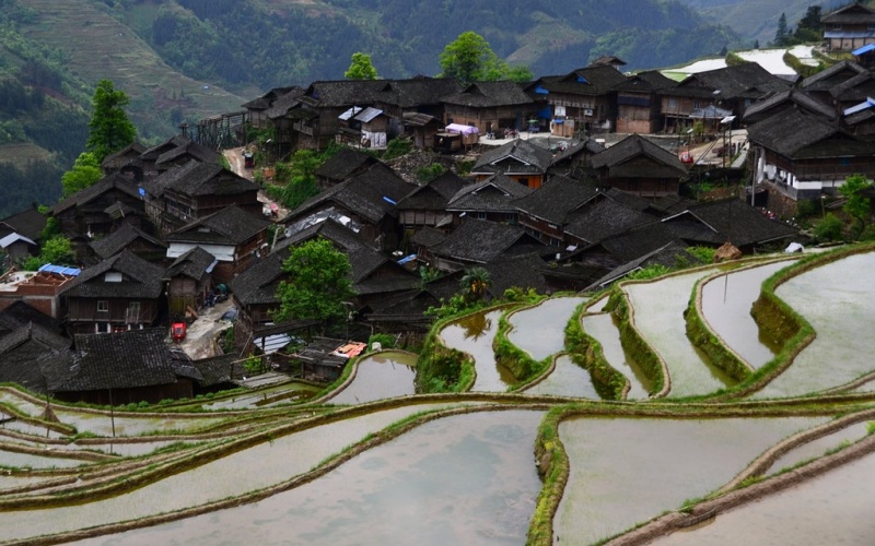Jiabang Terraced Fields 3.jpg
