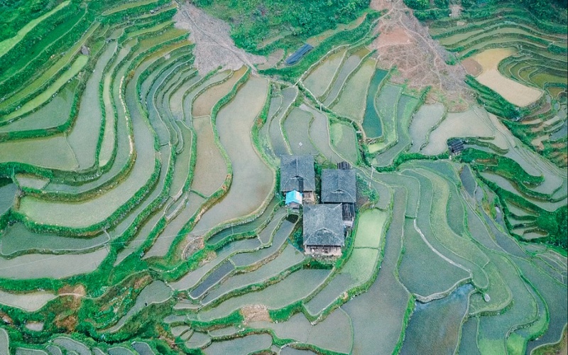Jiabang Terraced Fields2.jpg
