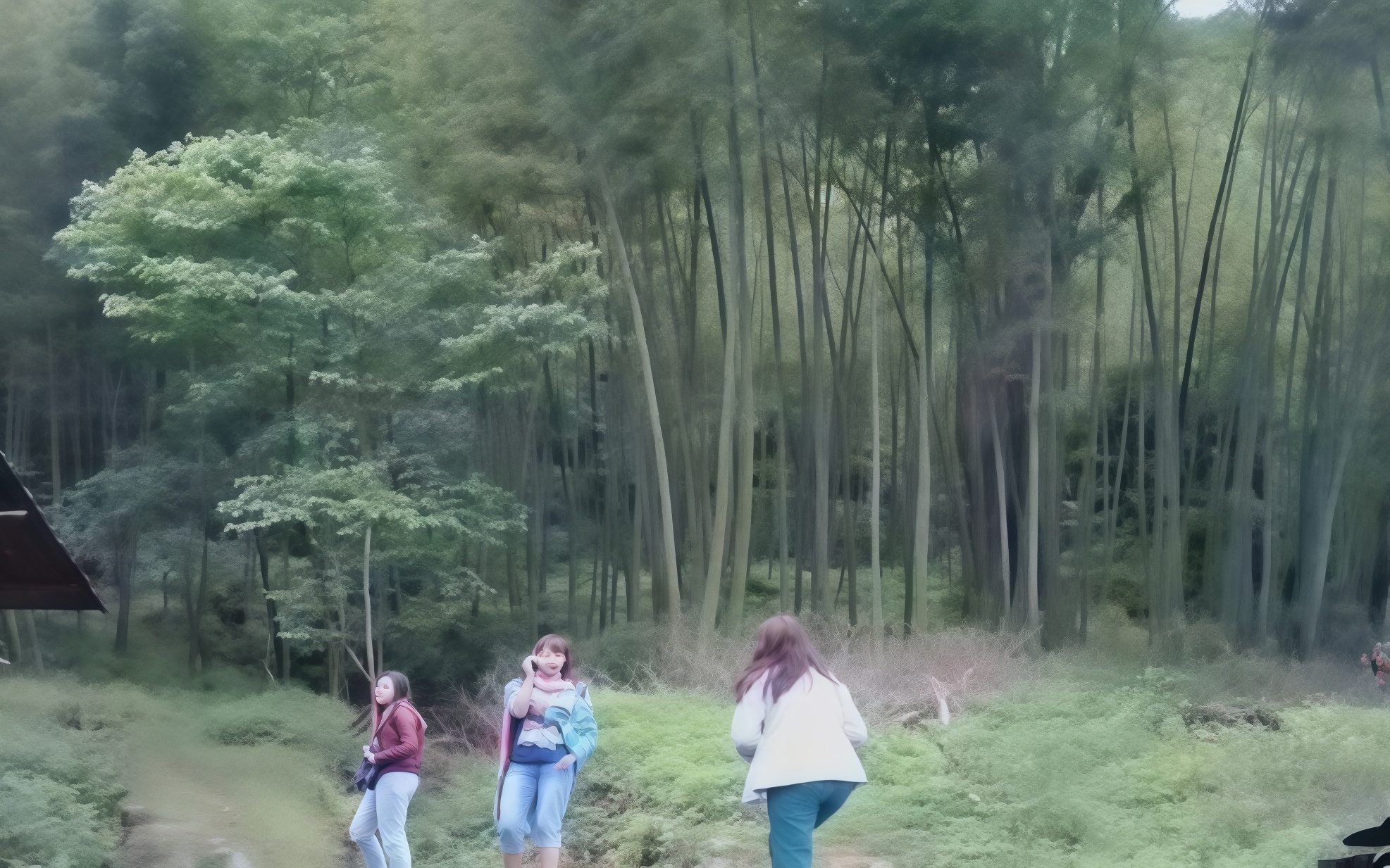 Bamboos in LAOPENG.jpg