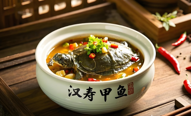 汉寿甲鱼.png