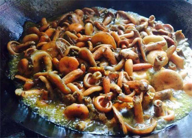 Zhangjiajie special dish of the Fir Fungus