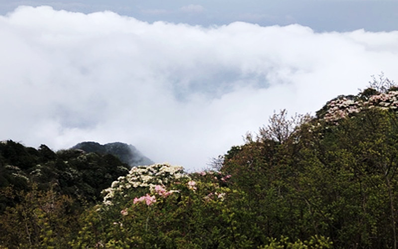 Leidongping in Emei Mountain