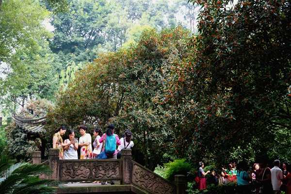 Chengdu Xindu Osmanthus Festival