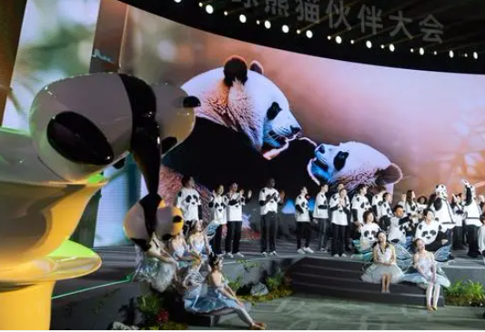 Top 7 Festivals in Chengdu