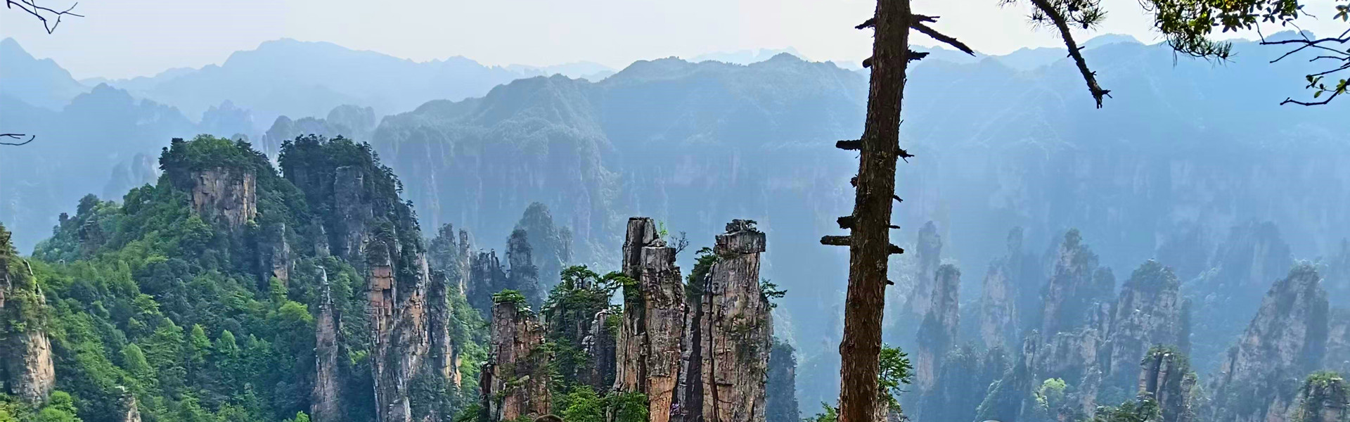 Zhangjiajie Group Tours 