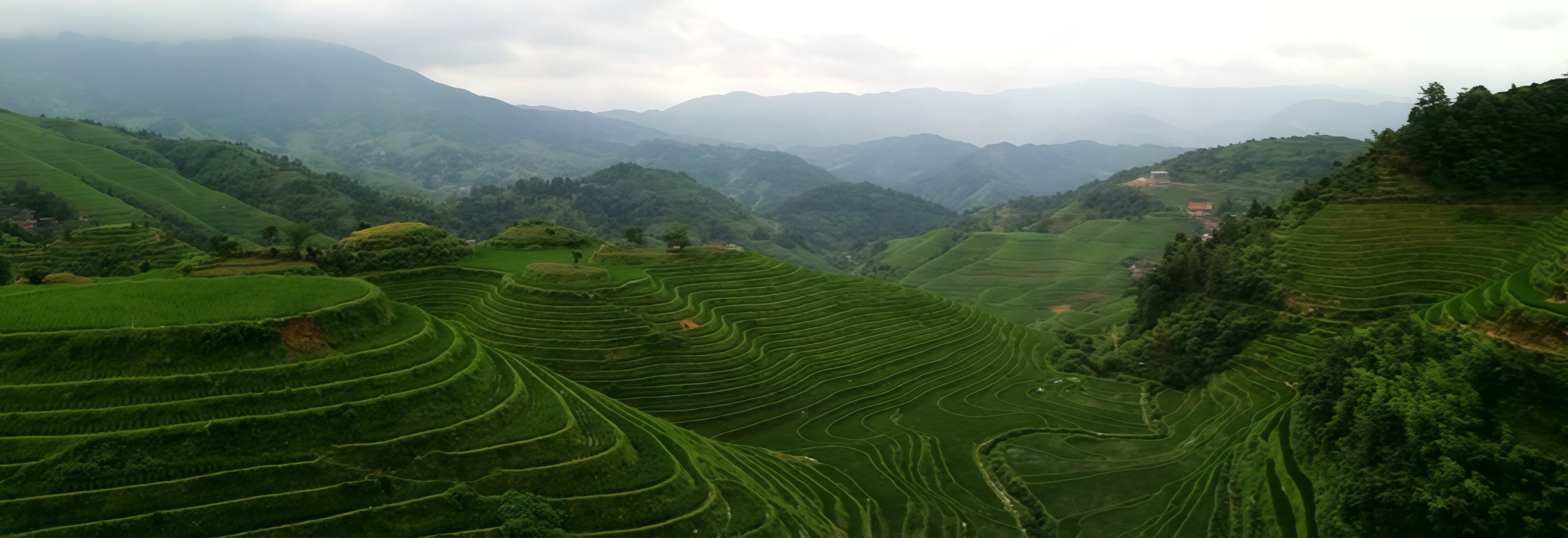 China Tours