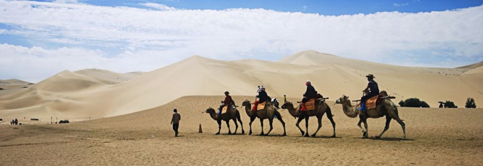 Silk Road Tours